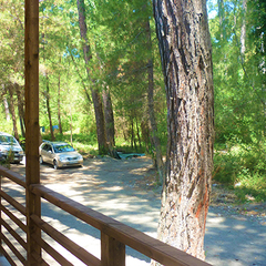 Гостиница  Санта-София / Santa-Sofia Hotel, Пицунда