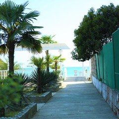 Отель Amore, Гудаута, Гудаута