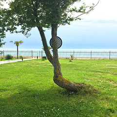 Отель Инжир Вилладж / Injir Village Hotel, Гудаута