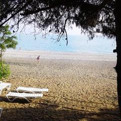 Гостиница  Санта-София / Santa-Sofia Hotel, Пицунда