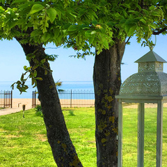 Отель Инжир Вилладж / Injir Village Hotel, Гудаута