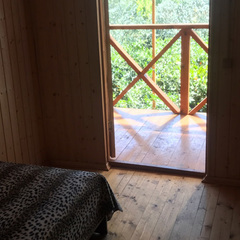 Гостевой дом Алекса (бывш. У Александры), Пицунда