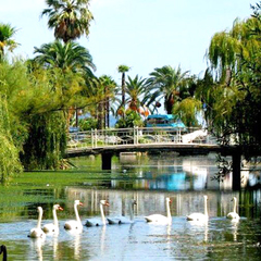 Гостиница Никополи, Гудаута