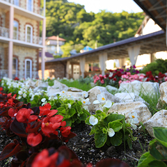 Гостиница Никополи, Гудаута