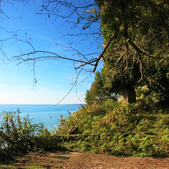 Дом отдыха Надежда, Очамчыра