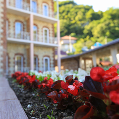 Гостиница Никополи, Гудаута