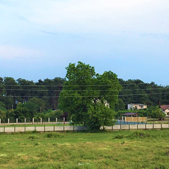 Отель Глория, Пицунда