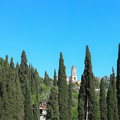 Гостиница Никополи, Гудаута