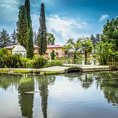 Гостиница Никополи, Гудаута