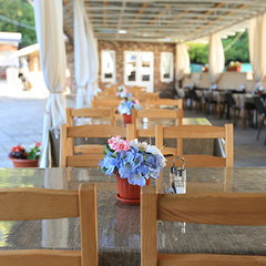 Гостиница Никополи, Гудаута