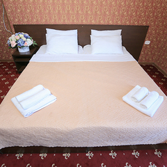 Гостиница Никополи, Гудаута