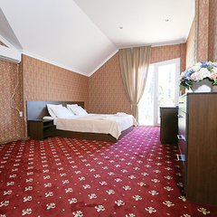 Гостиница Никополи, Гудаута