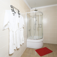 Гостиница Никополи, Гудаута