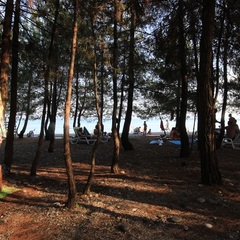 Отель Глория, Пицунда