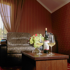 Гостиница Никополи, Гудаута