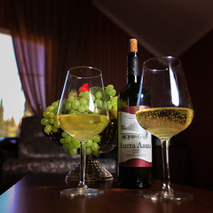 Гостиница Никополи, Гудаута