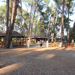 Отель Глория, Пицунда