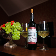 Гостиница Никополи, Гудаута