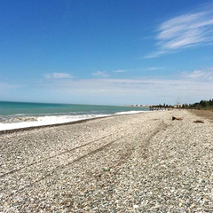 Отель Платан-1, Гагра