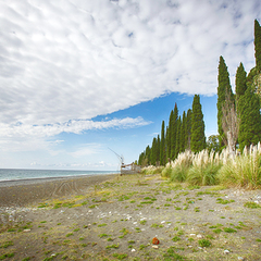 Дом отдыха Псоу, Гагра