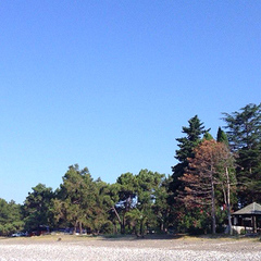 Отель Платан-1, Гагра