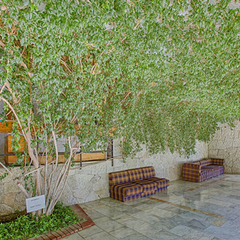 Дом отдыха Псоу, Гагра