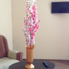 Гостевой дом Камила, Гагра