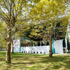 Дом отдыха Псоу, Гагра