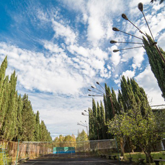 Дом отдыха Псоу, Гагра