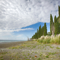 Дом отдыха Псоу, Гагра