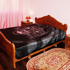 Гостевой дом Псоу, Гагра