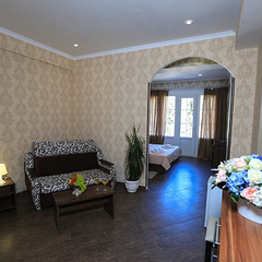 Гостиница Никополи, Гудаута