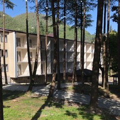 Отель Родина, Гудаута