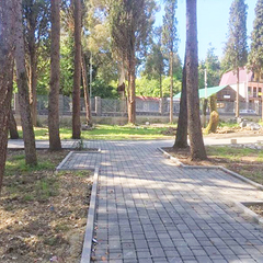 Отель Родина, Гудаута