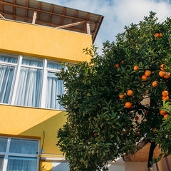 Гостиница Анна Сария , Гагра