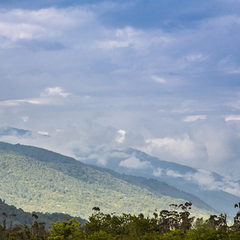 Коттеджный комплекс Эко-Вилладж, Новый Афон