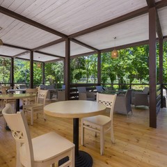 Отель Родина, Гудаута