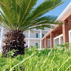 Клуб-отель Аквамарин, Гагра