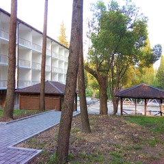 Отель Родина, Гудаута