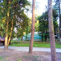 Отель Родина, Гудаута