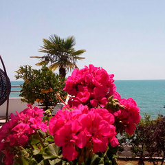 Отель Константа, Новый Афон