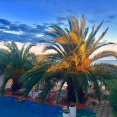 Отель Константа, Новый Афон