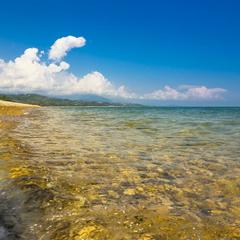 Отель Золотой якорь, Гудаута