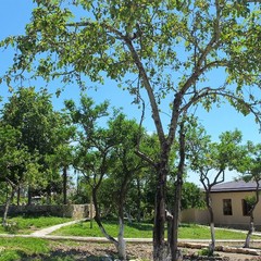 Комплекс отдыха Парадайз, Сухум