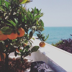 Отель Константа, Новый Афон