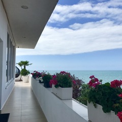 Отель Константа, Новый Афон