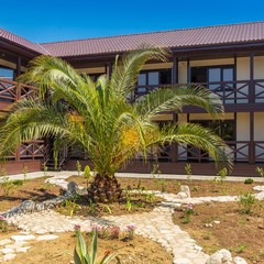 Отель Пекан / Pekan Hotel, Гагра