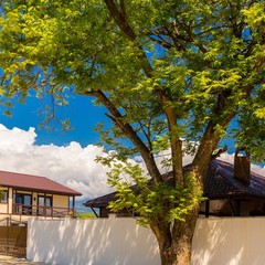 Отель Пекан / Pekan Hotel, Гагра