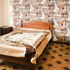 Отель Невские звезды, Гагра