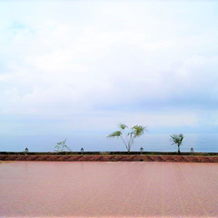 Отель Рива Дель Маре / Riva Del Mare , Гагра